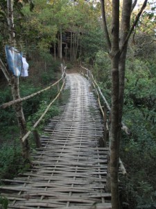 TacomePai Bamboo Bridge