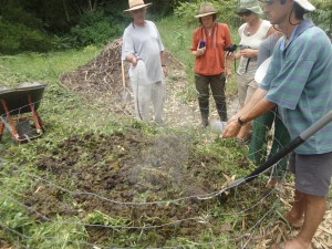 Building a Compost Pile