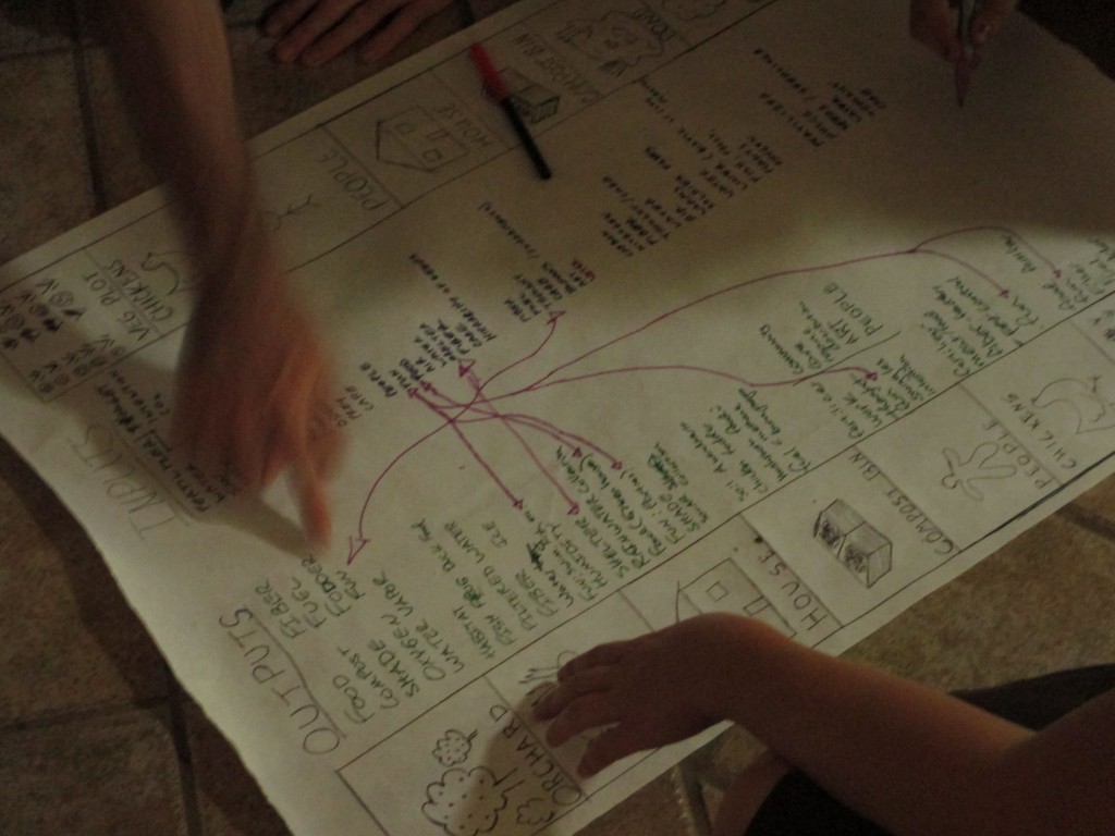 Drawing Connections - Eco-Pioneers.org